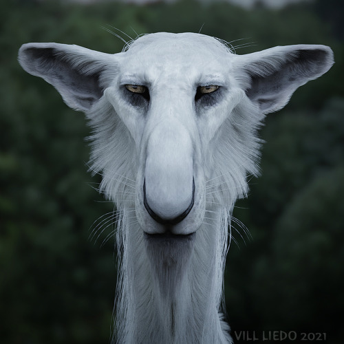 Realistic 3D portrait of my character Lash. I tried to make him recognizable and characteristic, and