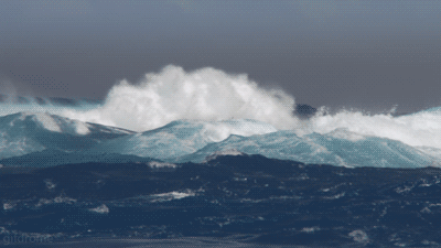 GIF BLOG - Funny Blog,Tumblr GIFs updated daily!