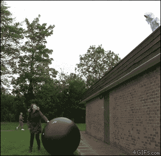failsnet:  Tumblr Fails.net - You think you would land safe