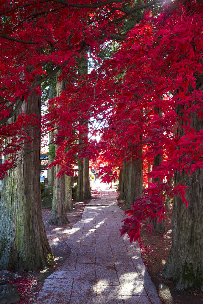 mistymorningme:  Red corridor by Mr. Soranopa