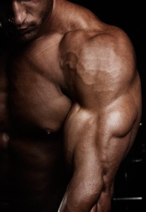 ADONIS ARCHIVE