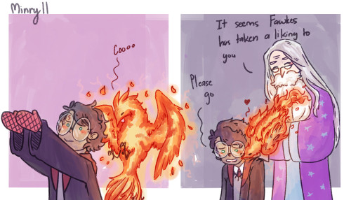 minryll:Based on a dream I had where Fawkes decided he likes Harry better than Dumbledore————-@waiti