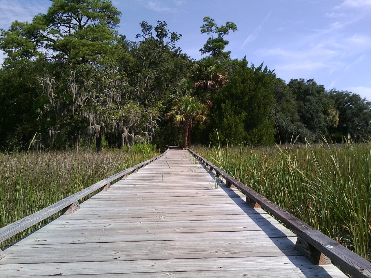 and here are some mostly animal shots from oatland island