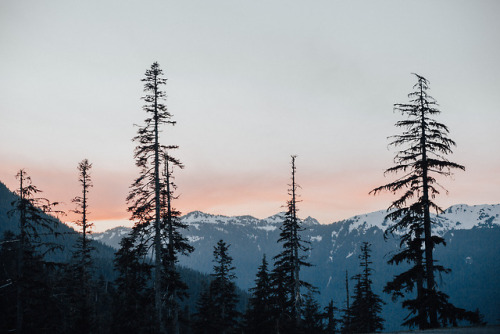 theghostgirls: sunsets in the northwest