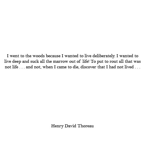 QUOTED UNIVERSE