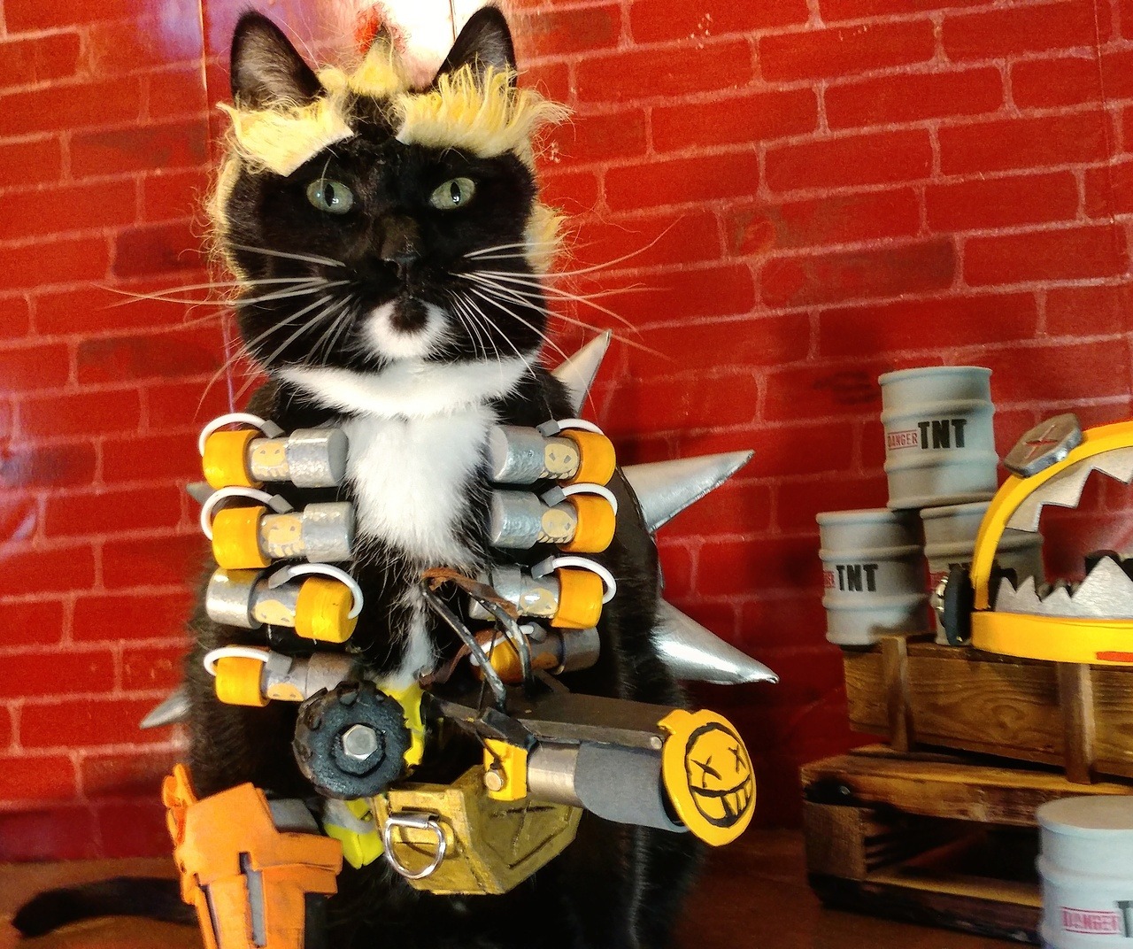 It s great fun. Warhammer Cat.