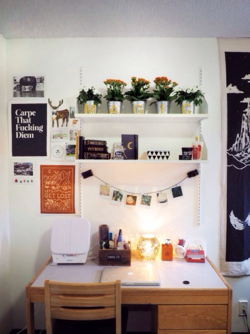 vineayl:  pixope:  Here’s my dorm room! I guess you can call the aesthetic fairy apothecary?       
