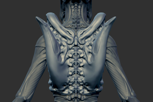  Alien Redesign - WIP Update 5.5 - New Torso ComparisonDecided to go with a more slim design for the