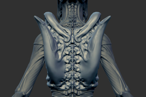 Alien Redesign - WIP Update 5.5 - New Torso ComparisonDecided to go with a more slim design for the 