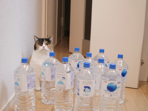 thetomlinsonnetwork: #great now i gotta be responsible for these water bottles