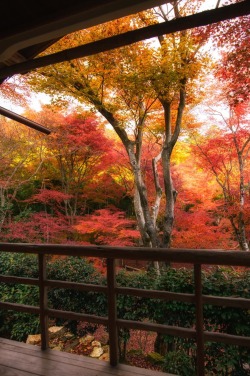 r2&ndash;d2:  直指庵 Jikishian - Kyoto by (Hidetoshi Kikuchi) 