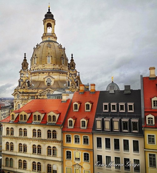 Blick auf die Frauenkirche von Dresden, leider ein regnerischer Tag. by 1959grigo flic.kr/p/