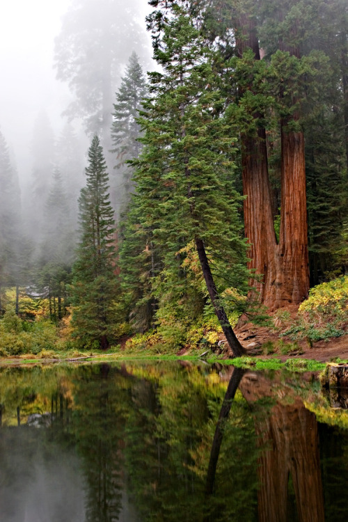 wonderous-world: California, United States by Michael Hansen