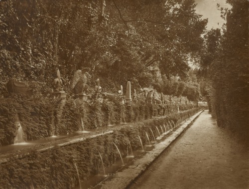 dame-de-pique:James Anderson - Villa d'Este, Gallery of Fountains, c.1855-77
