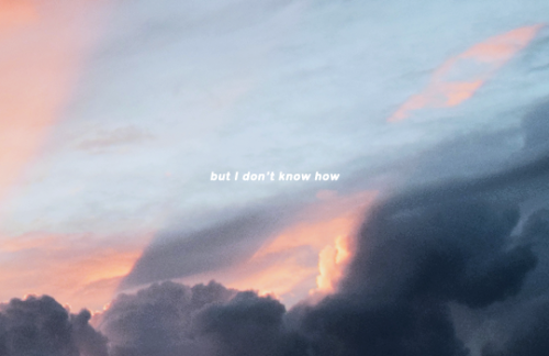 nomoresuckers:‘too afraid’ - MARINA, 2019