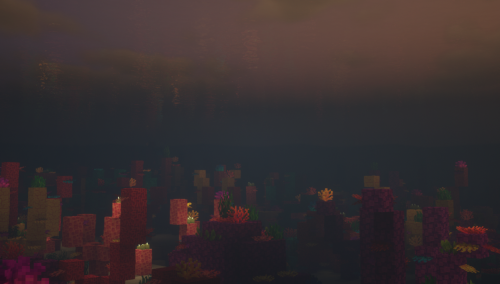 Spawned in the ocean which is… not ideal for the build I was going to make but it was so pret