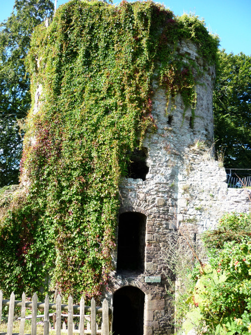 Usk Castle, August 2014 Absolutely stunning and privately owned - when I visited the family had thei