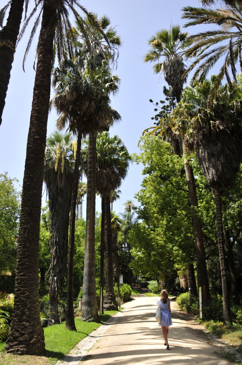 Jardim Botânico da Universidade de Lisboa