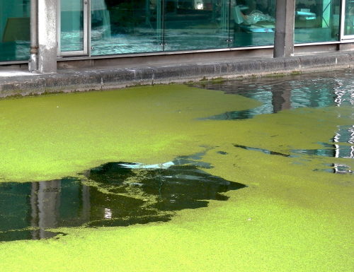  Après une longue discussion. Londres, Paddington Basin, septembre 2014 