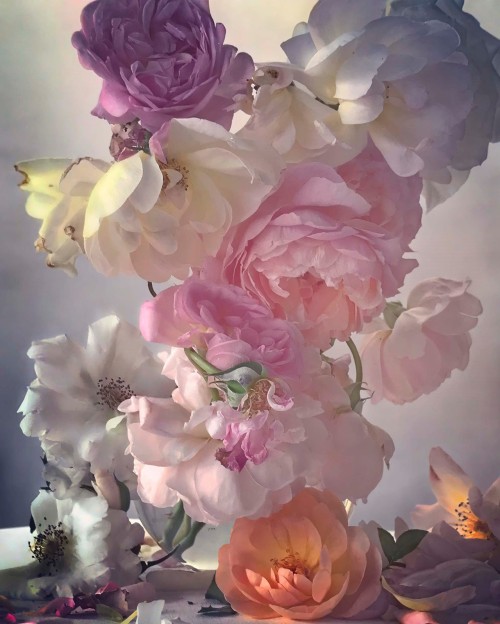 nevver:In lieu of flowers, Nick Knight