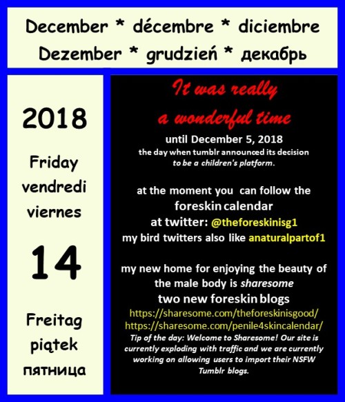 myforeskincalendar:It’s my last Foreskin Friday on tumblr. I wish all my followers a nice December 1