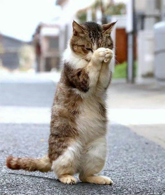 Dear God, please keep all the fools far far away from me today. Thank you most sincerely,