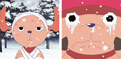 Young Straw Hats