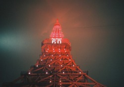 azusaphoto: 夜とLC-Aと還暦のRed Tower♡