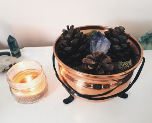 wildlxng:little witchy things~ ✨