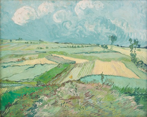lefildelhorizon:  Vincent van Gogh, Wheat Fields after the Rain (The Plain of Auvers), 1890 Carnegie Museum of Art