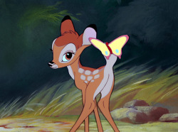 whitetail-deer:  The dearest deer.  Bambi