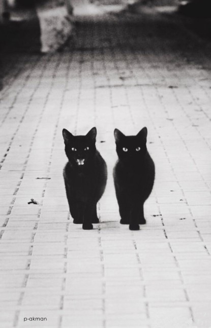 tumblr photo she-live-life-without-limits 0