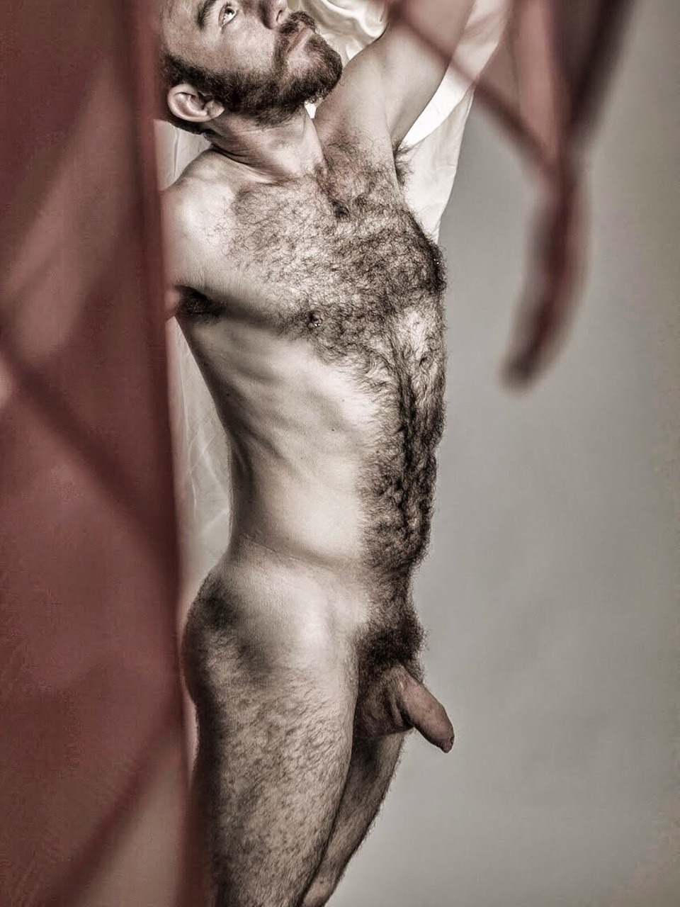 dirtysmellygreen:  Hairy and wonderful