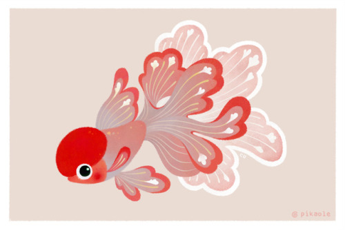 pikaole: Red cap Oranda [ twitter / behance / redbubble shop / print ] 