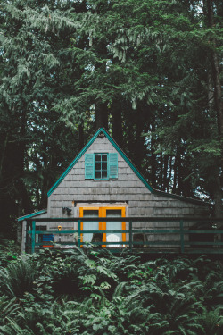 Life in the North Cascades | © | S.L.Δ.B.