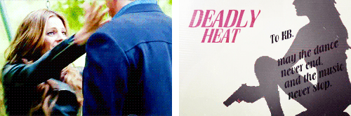 launicafisura:Richard Castle + Book Dedications. 