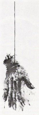 spookymrsboo:  Scary Stories to Tell in the Dark illustrations by Stephen Gammell