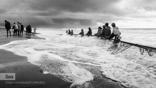 Banda Panda by Antonio_Leaoarte xávega,beaches,canon,clouds,costa de caparica,fishermen,fishing,fish