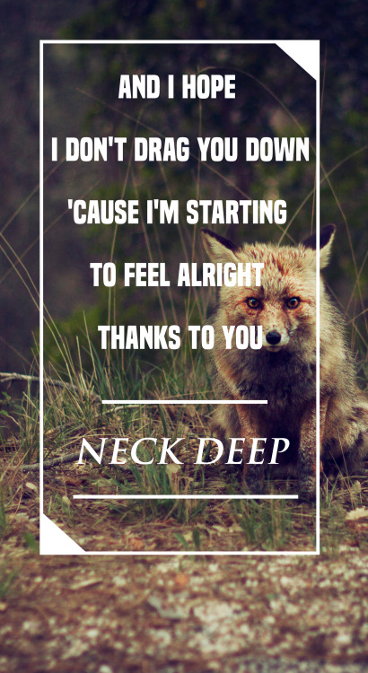 Neck Deep - Head to the ground