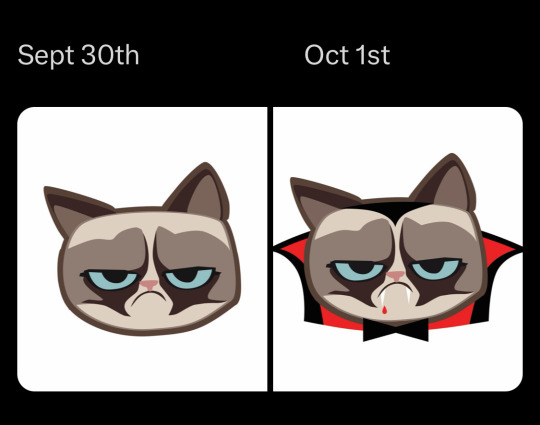 Emojipedia on X: Old grumpy cat is upset at new grumpy cat 😾   / X