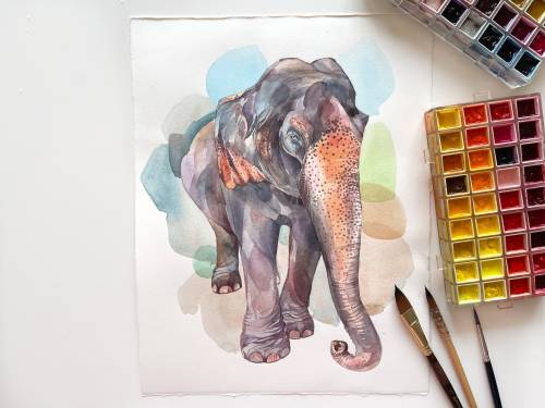 Asian Elephant Watercolor by Aleksandra FosterHere is a nice watercolor painting that shows a packy 