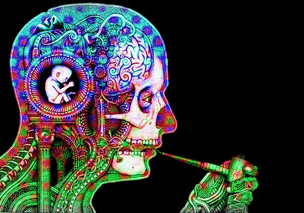where is my mind?﻿