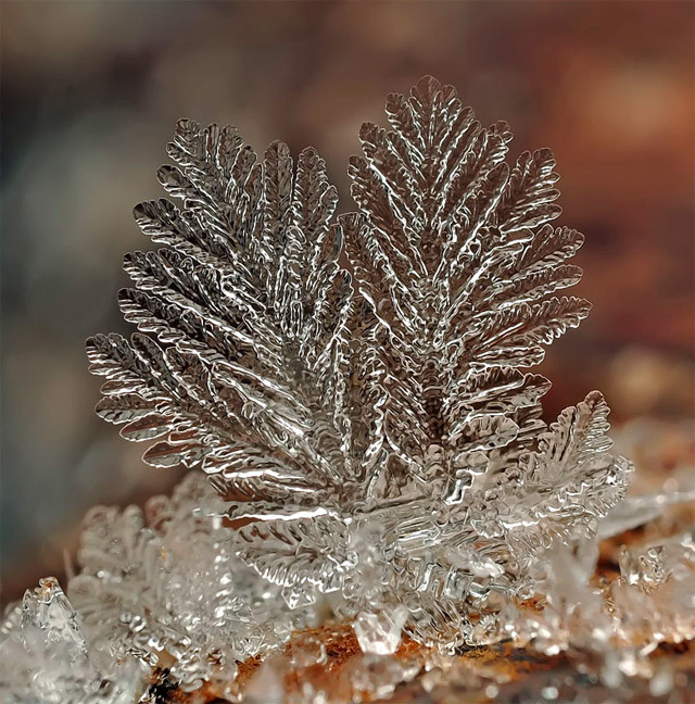 the-star-stuff:  Remarkable Macro Photographs of Ice Structures and Snowflakes Russian