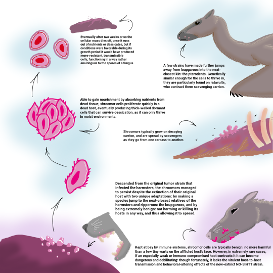 ceo of hamster evolution — The Early Temperocene: 140 million years