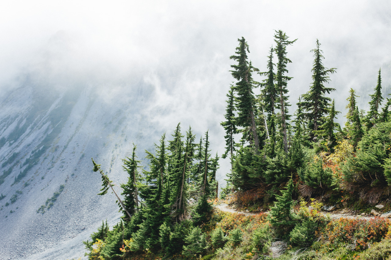 I yearn for a place far from here.