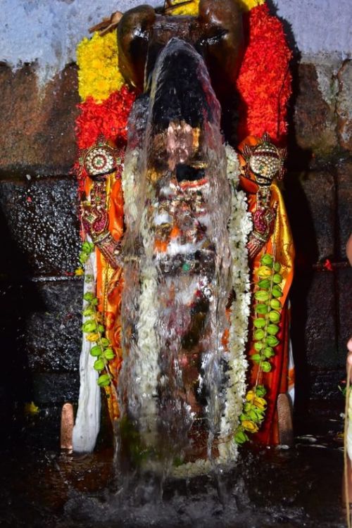 Azhagan Perumal (Vishnu) bathed in a natural spring (Thotti Thirumanjanam), Tamil Nadu