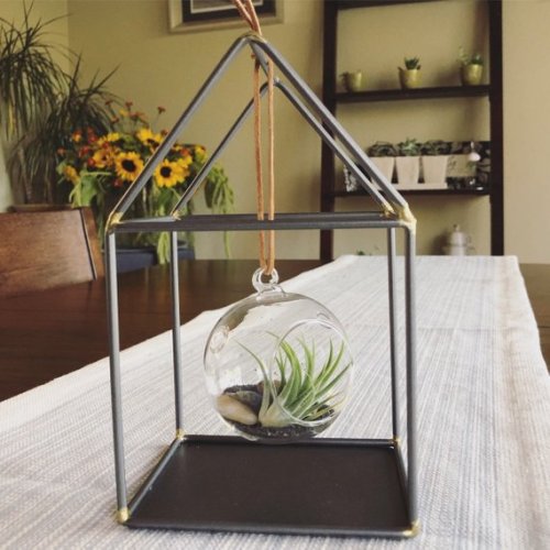 Terrarium //SunnysideHomeDecor