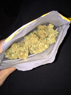 purplengabbana:Didnt have a bag