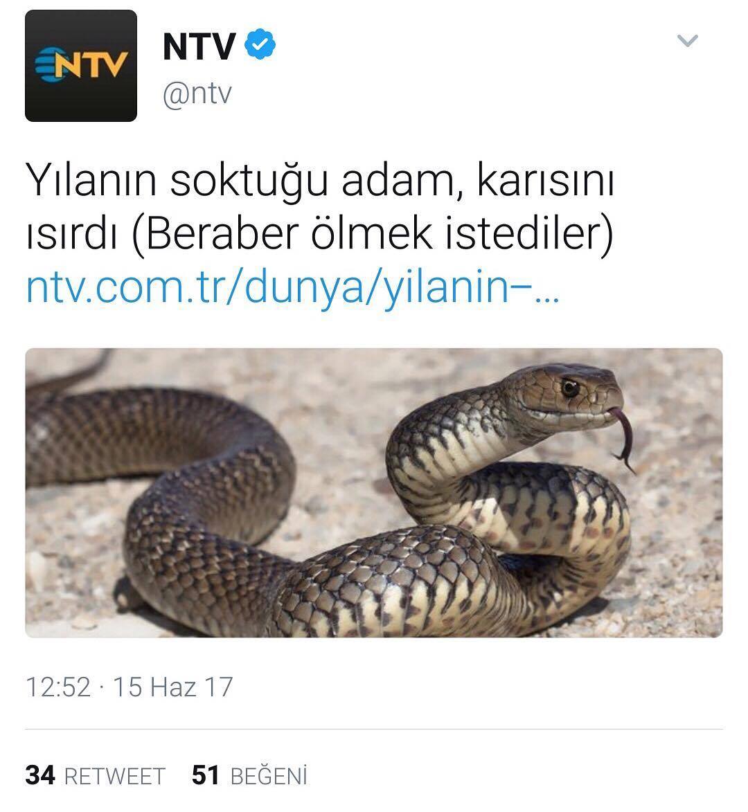 NTV
@ntv
NTV
Yılanın...