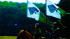 braavosz:  GoT Challenge ♚ favorite house      ↳House Stark The Starks of